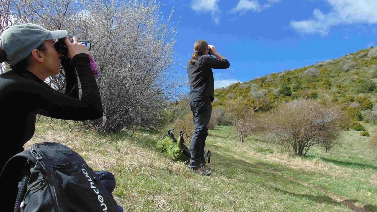 Observation à Entrages