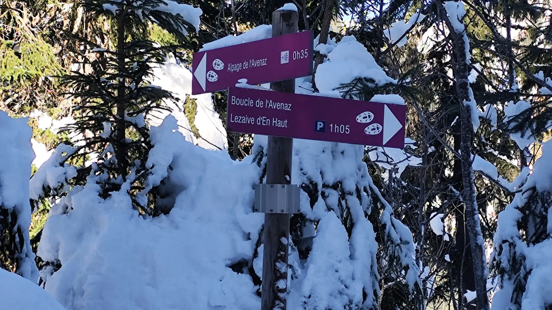 Snowshoe sign at the junction of the Boucle de L'Avenaz descent