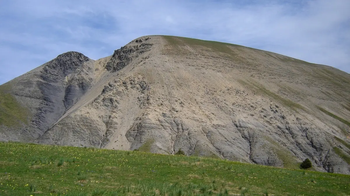 Sommet_de_tête_grosse_Chabanon