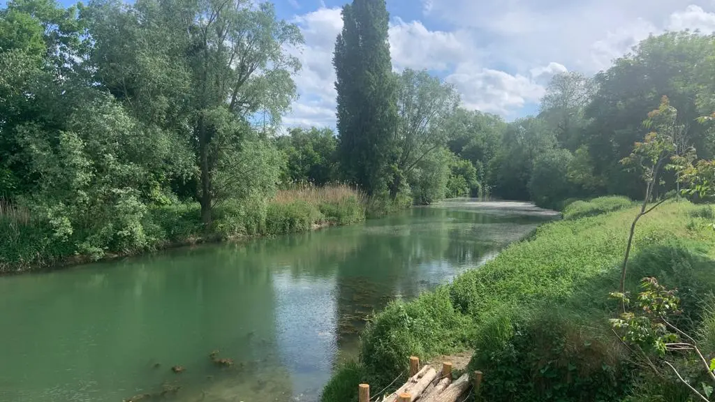 Berges de Seine Maisons-Laffitte