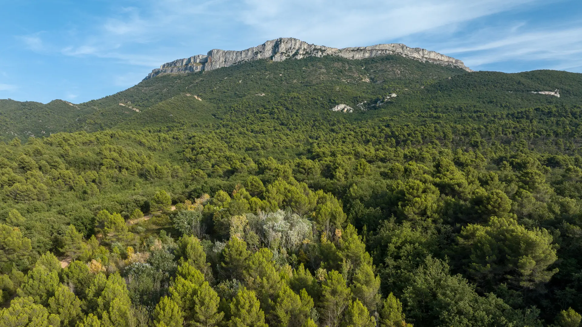 Mont Aurélien