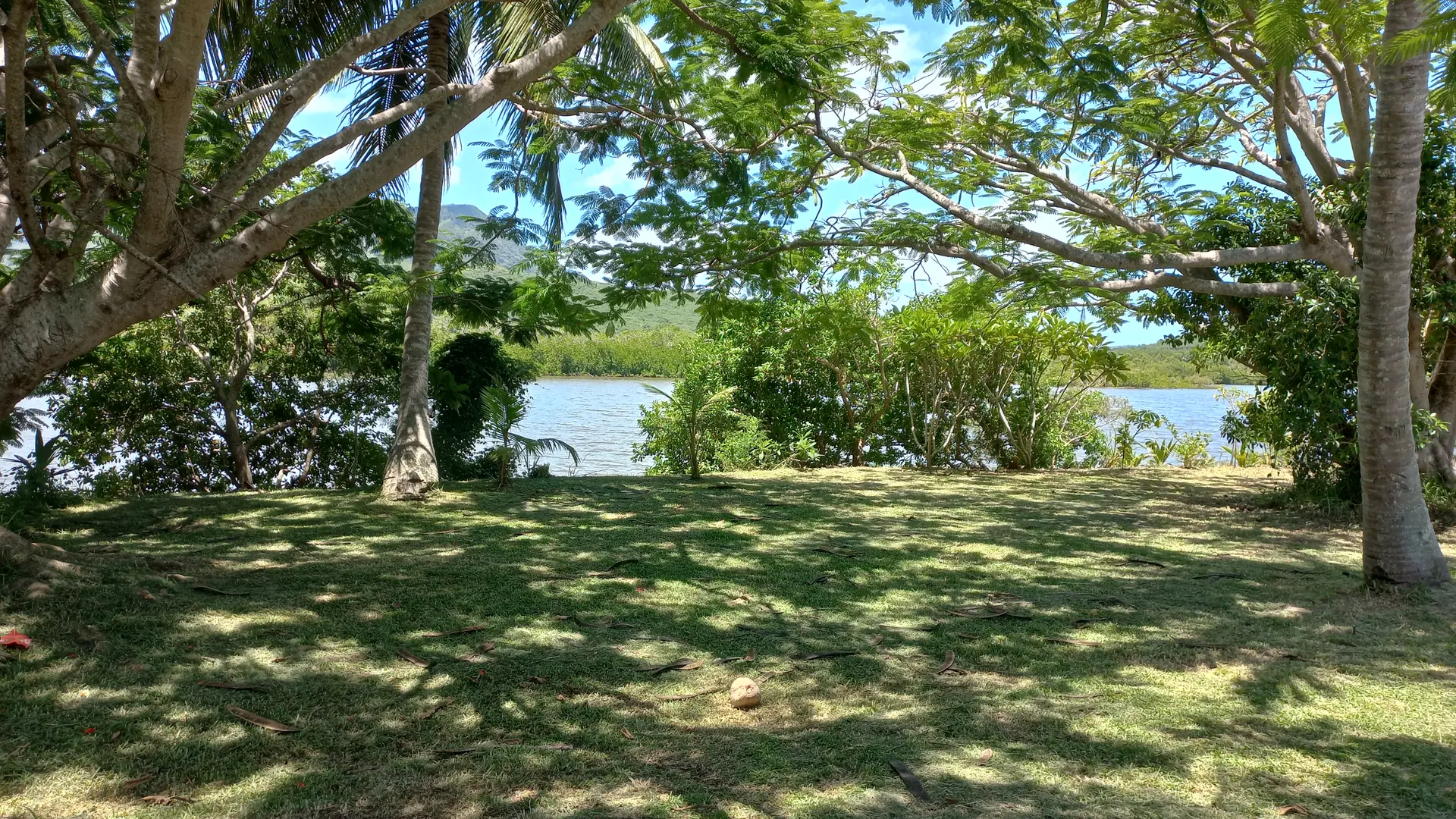 Vue sur la rivière