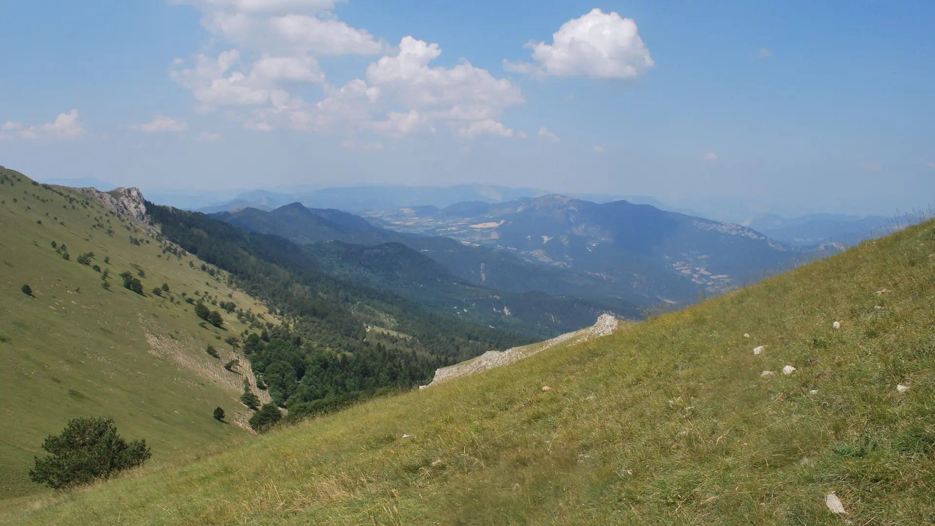 Belle pente herbeuse