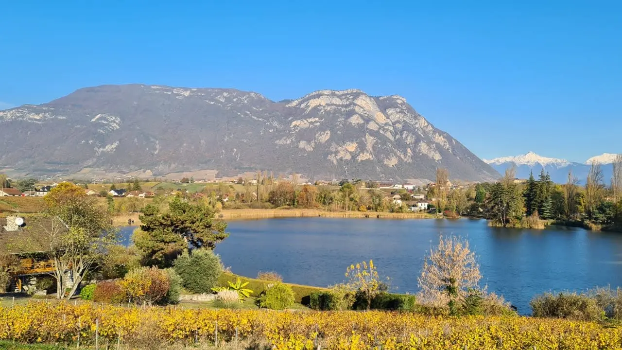 lac St Andre vespa tour