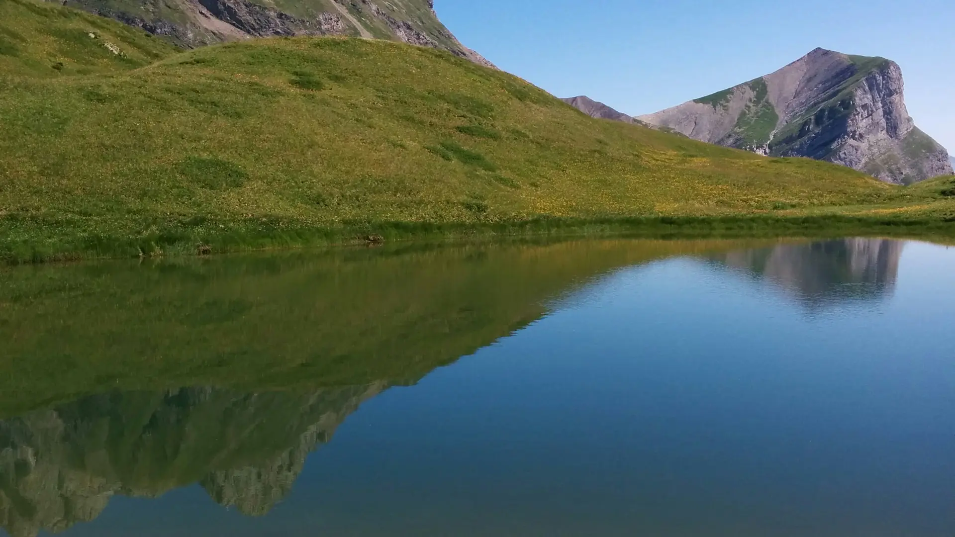 reflets sur la Gouille des Fours