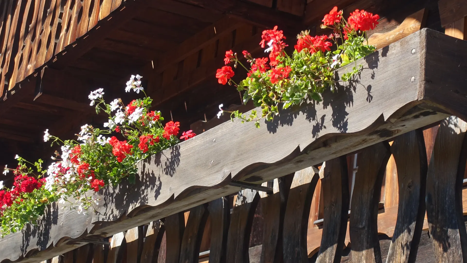 Balcony in bloom