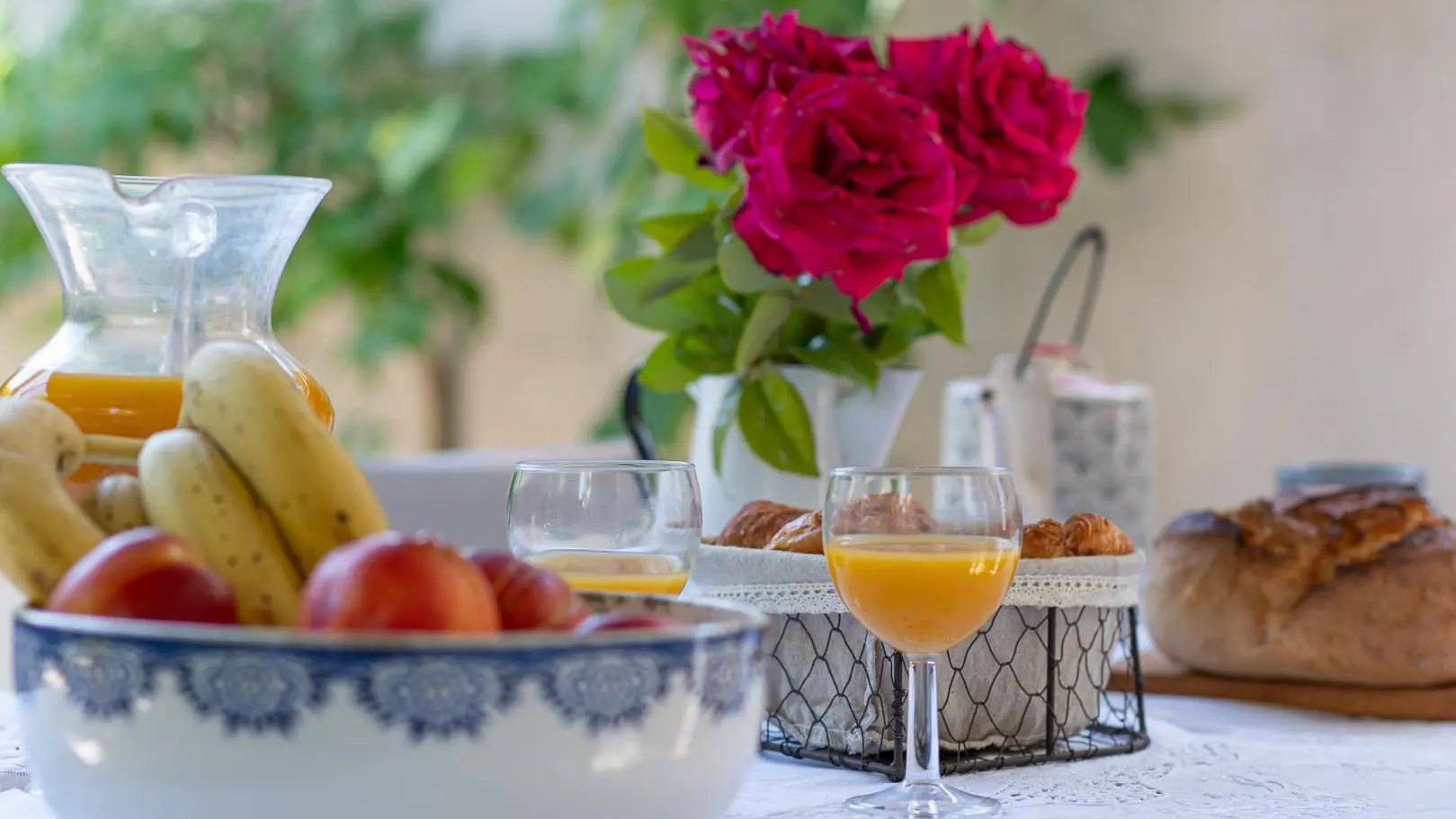 Petit déjeuner sous le pin