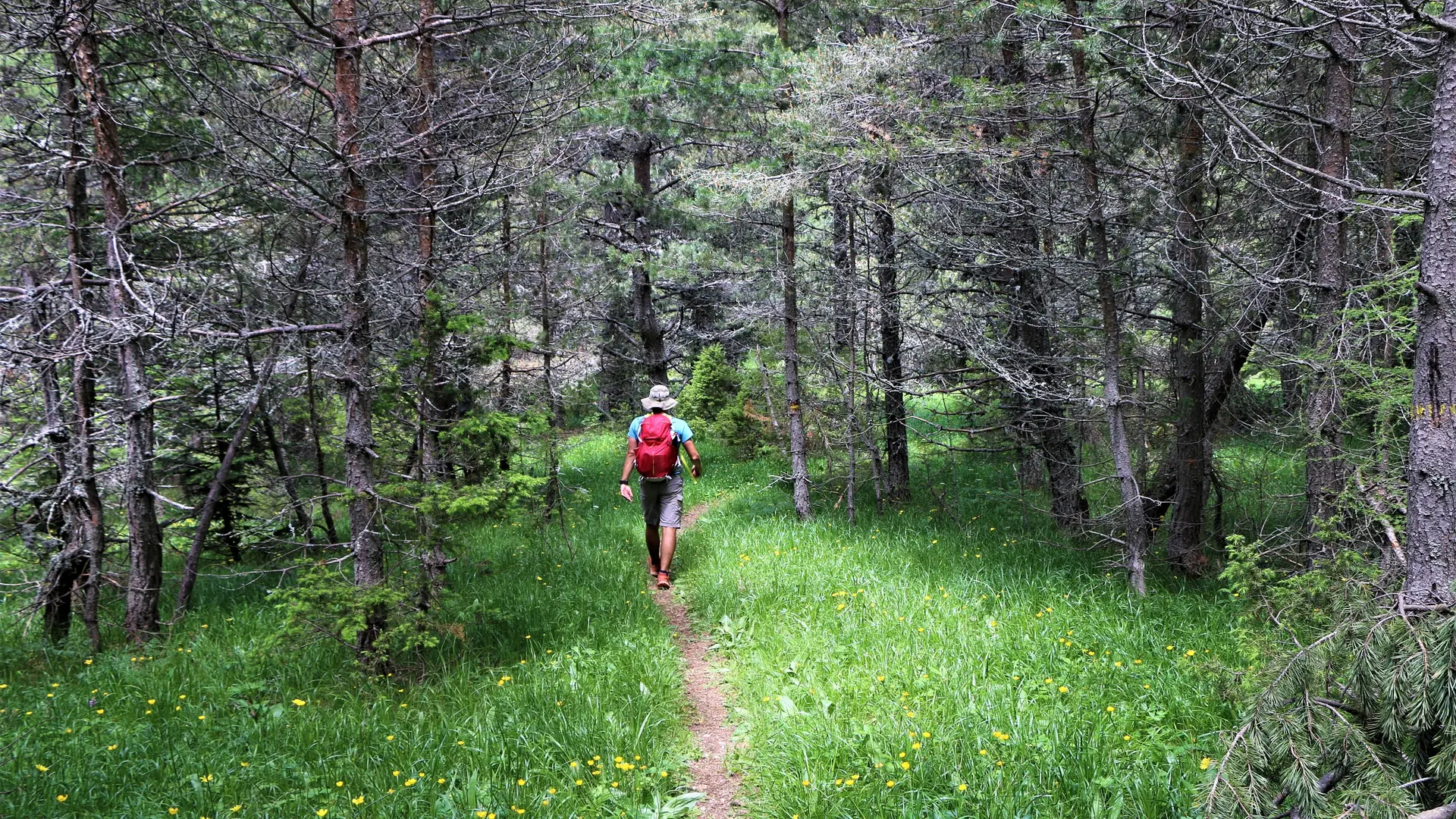 La Randonnée du Quigouret