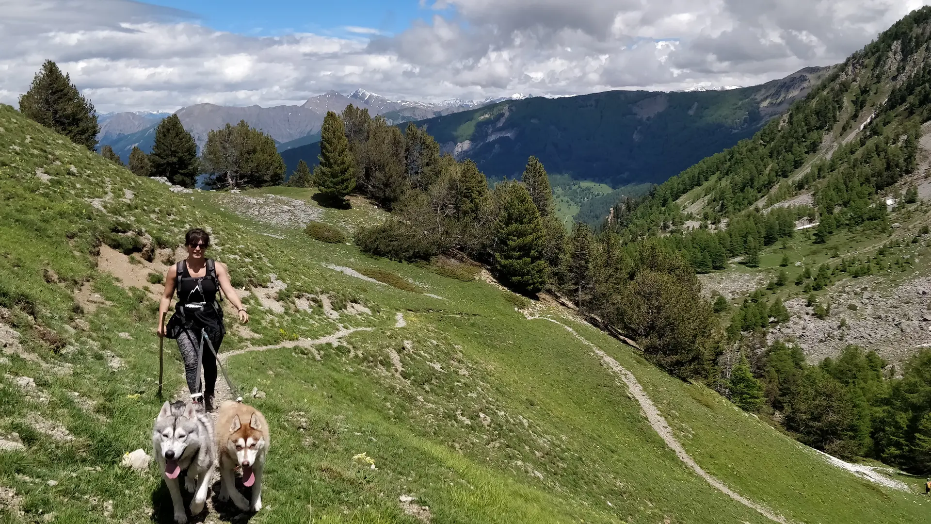 Cani-rando à la journée