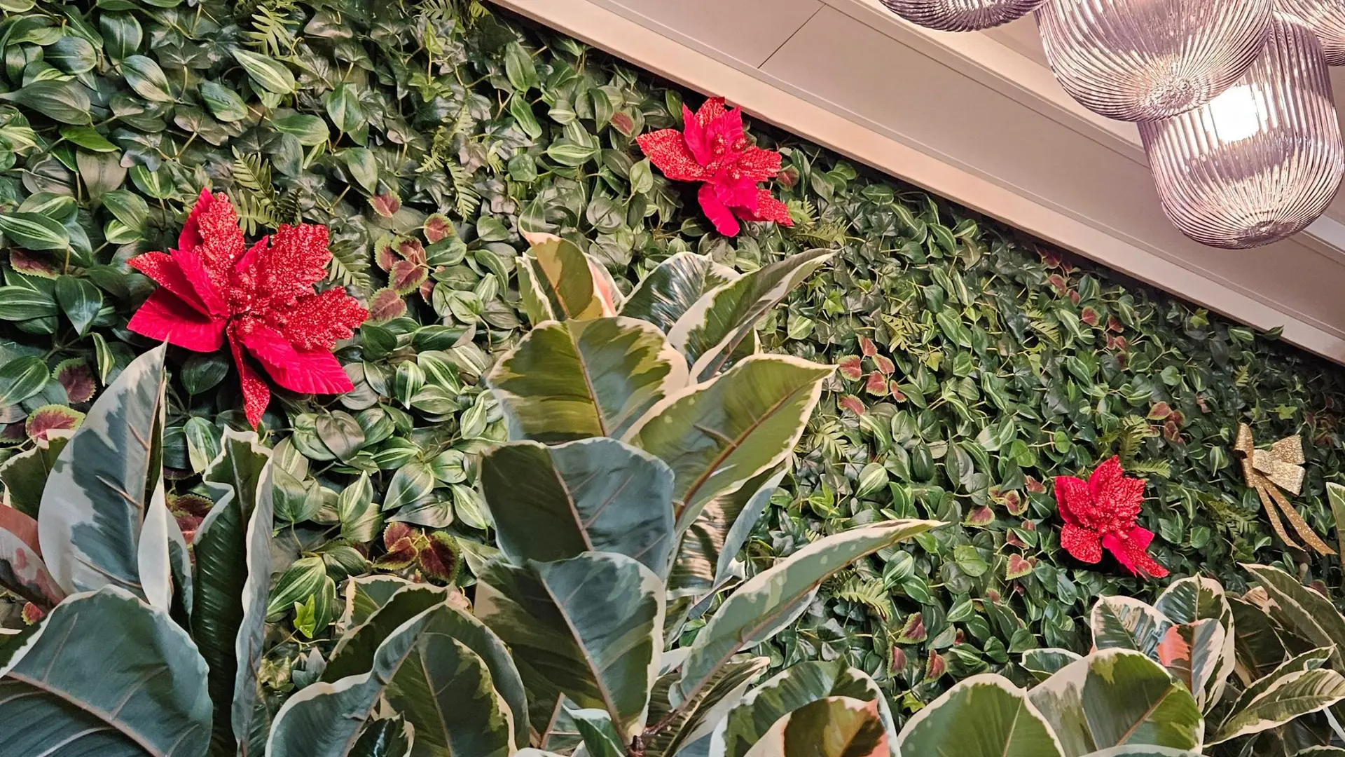 mur vegetal