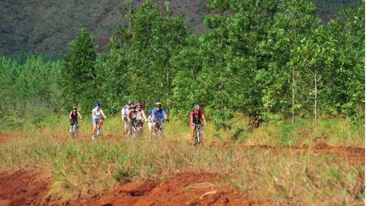 Heureux sont les nombreux cyclistes ayant emprunter la piste 3 à partir du Creek Pernod
