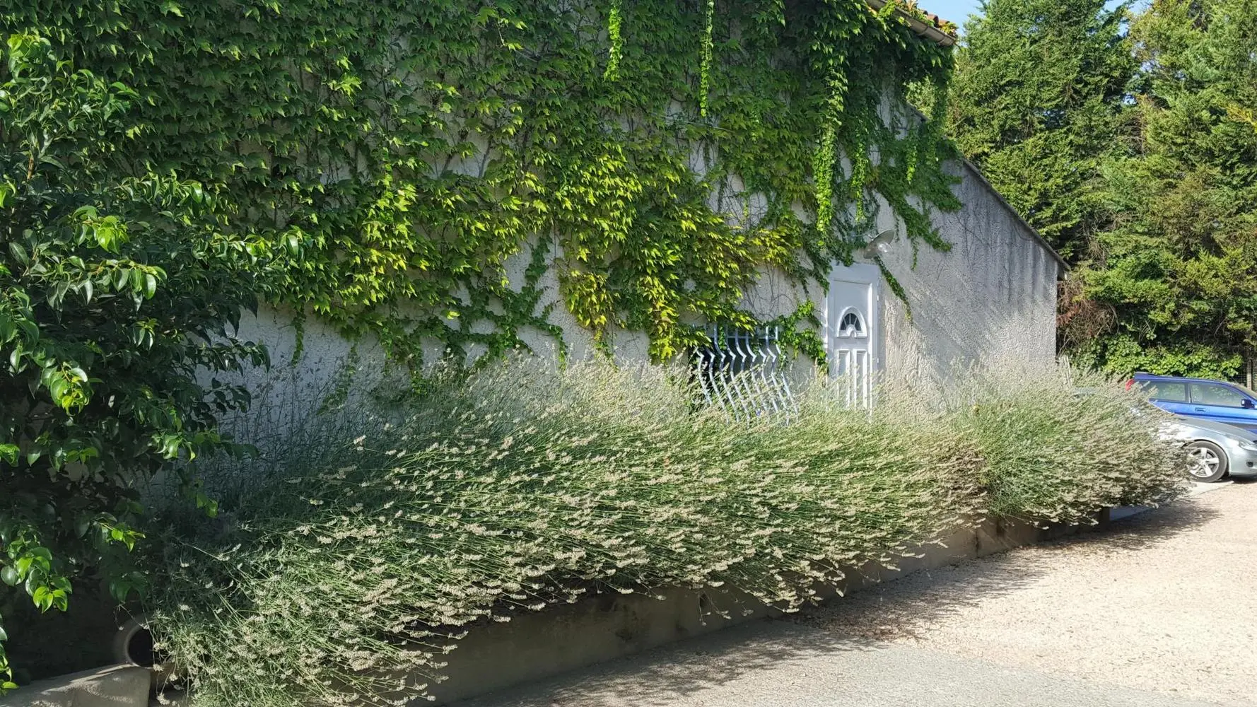 photo14