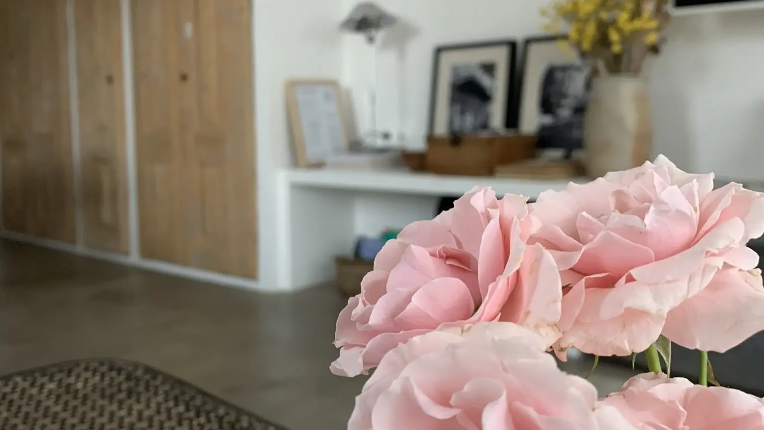 La Terrasse du Pont Julien_L'Isle-sur-la-Sorgue coté TV