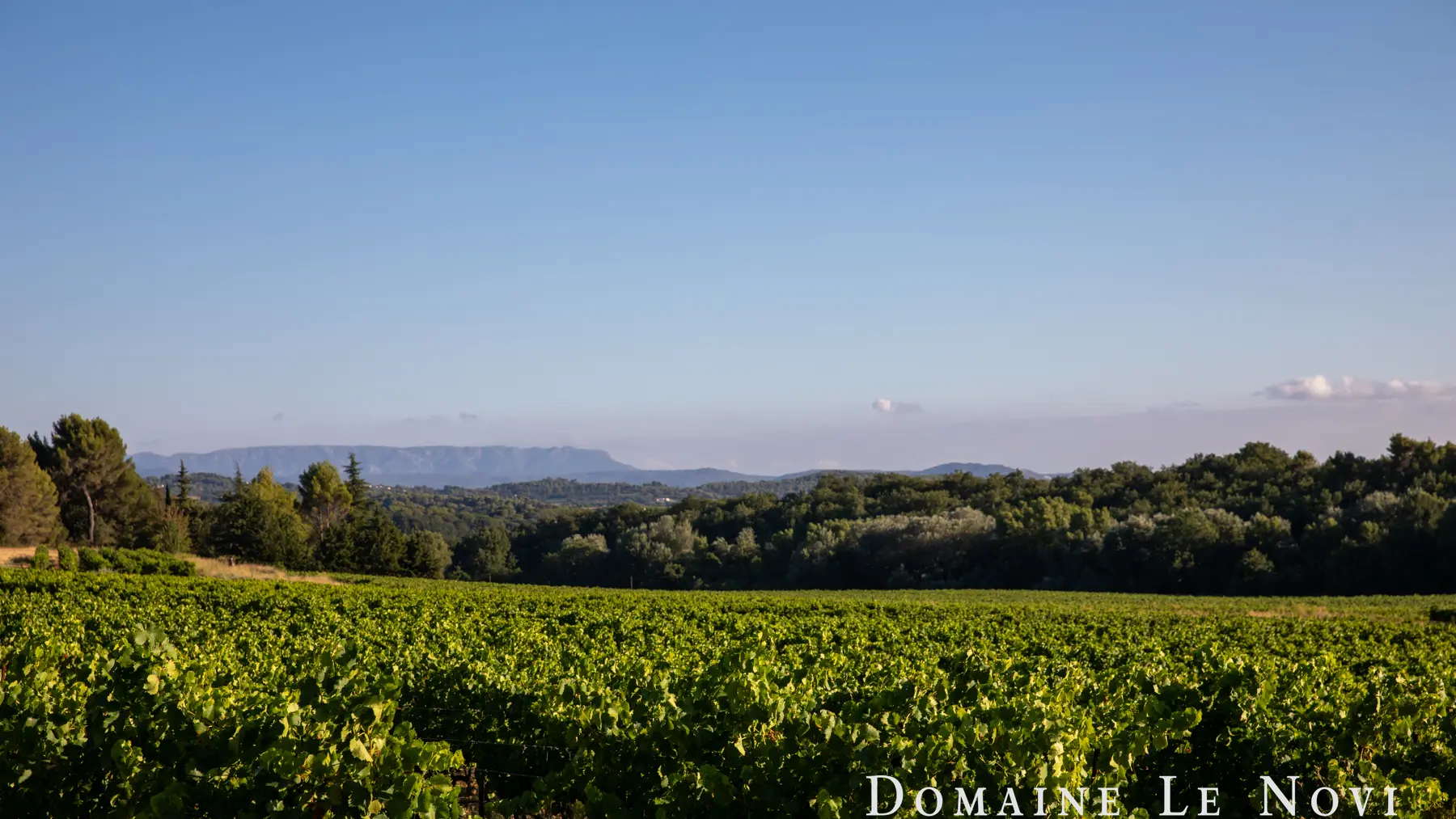 Domaine Le Novi