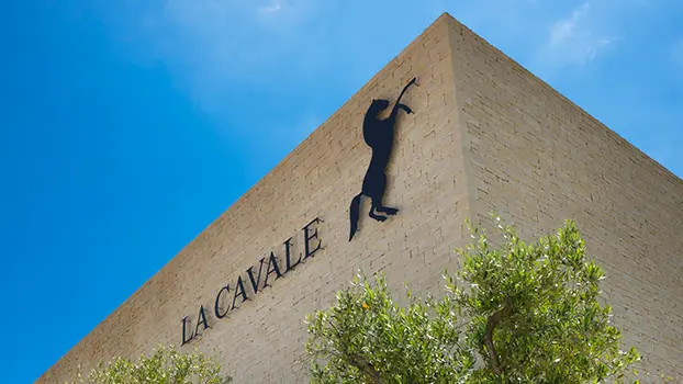 Atelier Ampélographie : de la vigne au vin à La Cavale - Cucuron_Cucuron