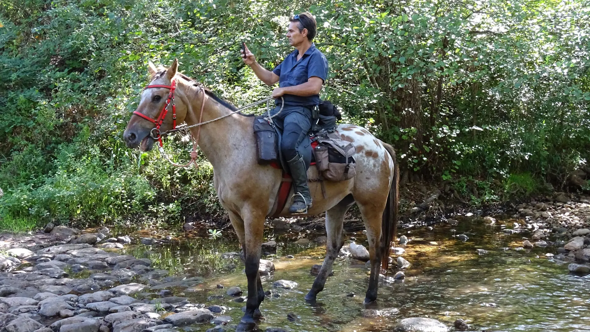 Cavalier dans la rivière