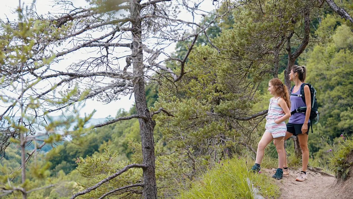 Sentier d'accès à la passerelle