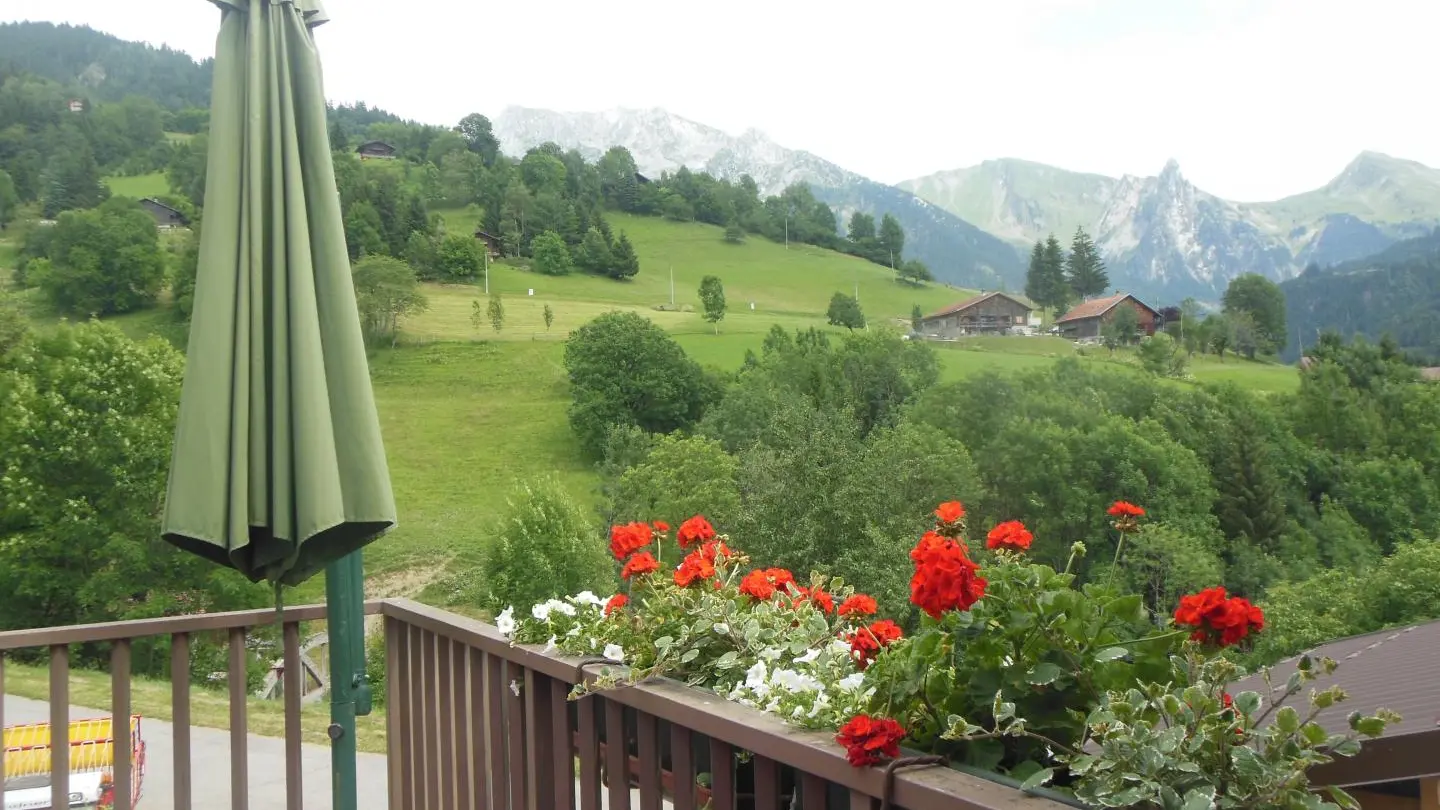 Vue depuis la terrasse