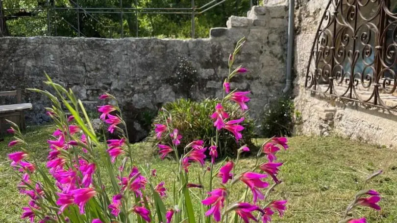 Jardin Gîte du Loup Gîtes de France Côte d'Azur Alpes-Maritimes à La Colle sur Loup