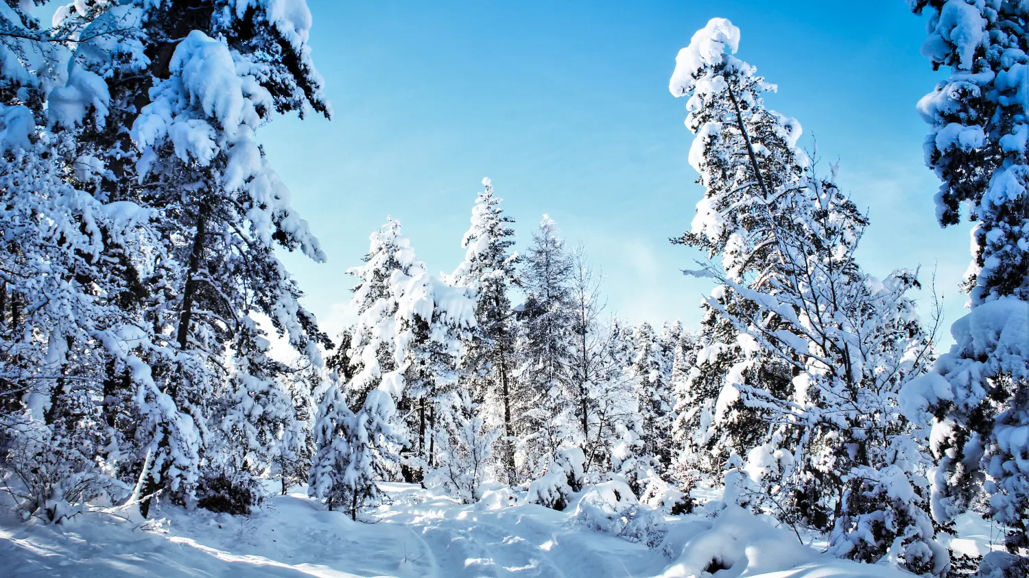 Raquettes Saint Philippe