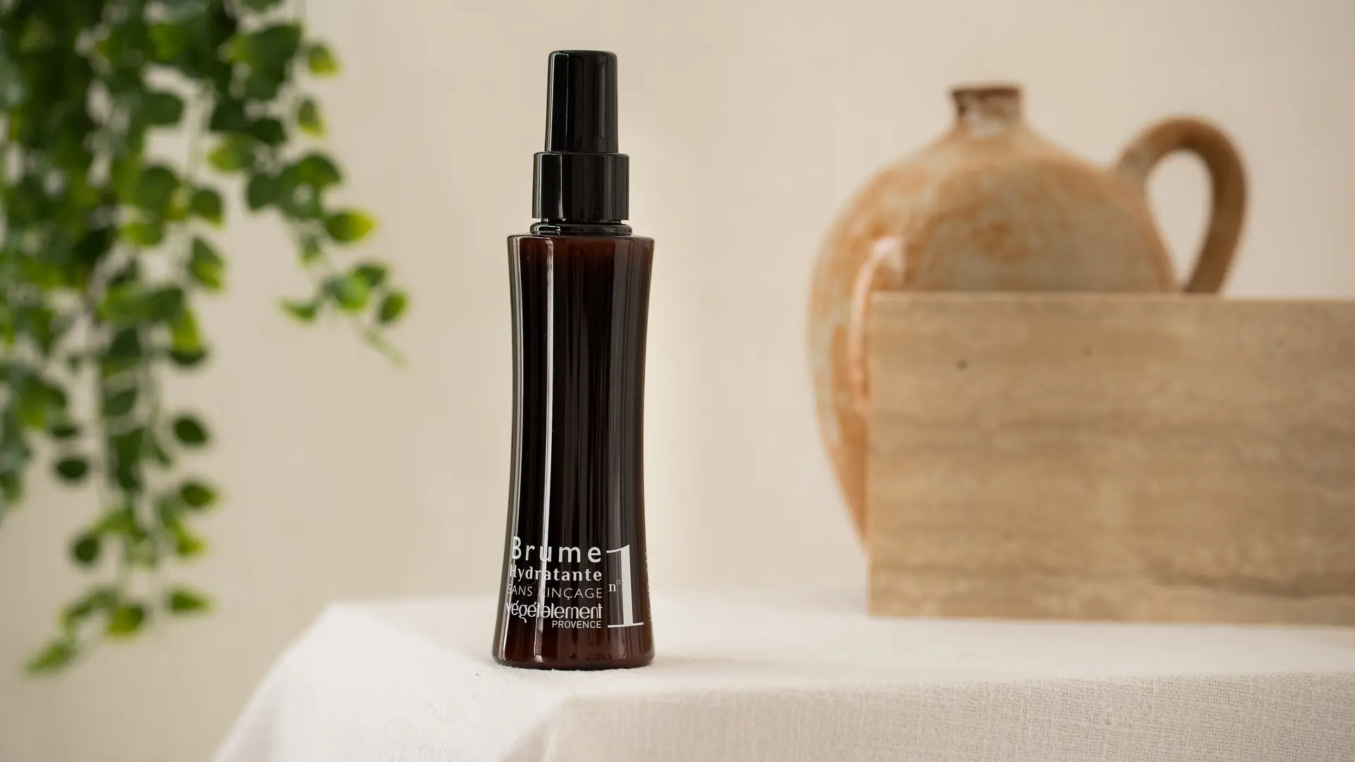 Végétalement Provence_brume