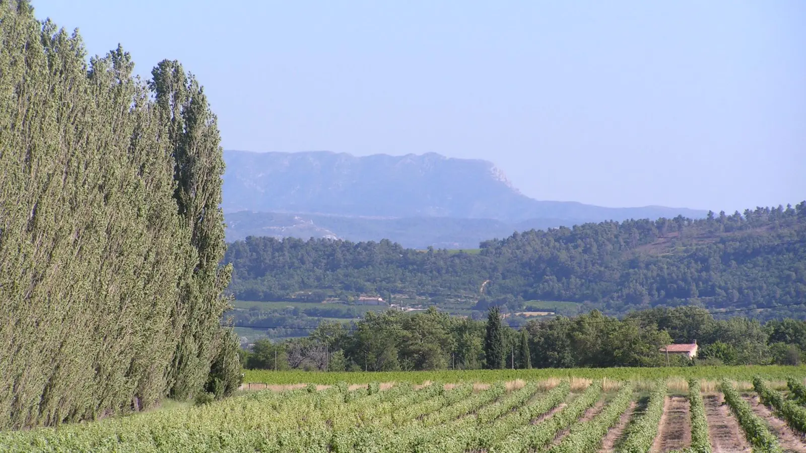 OT LUB - Les coteaux de Grambois