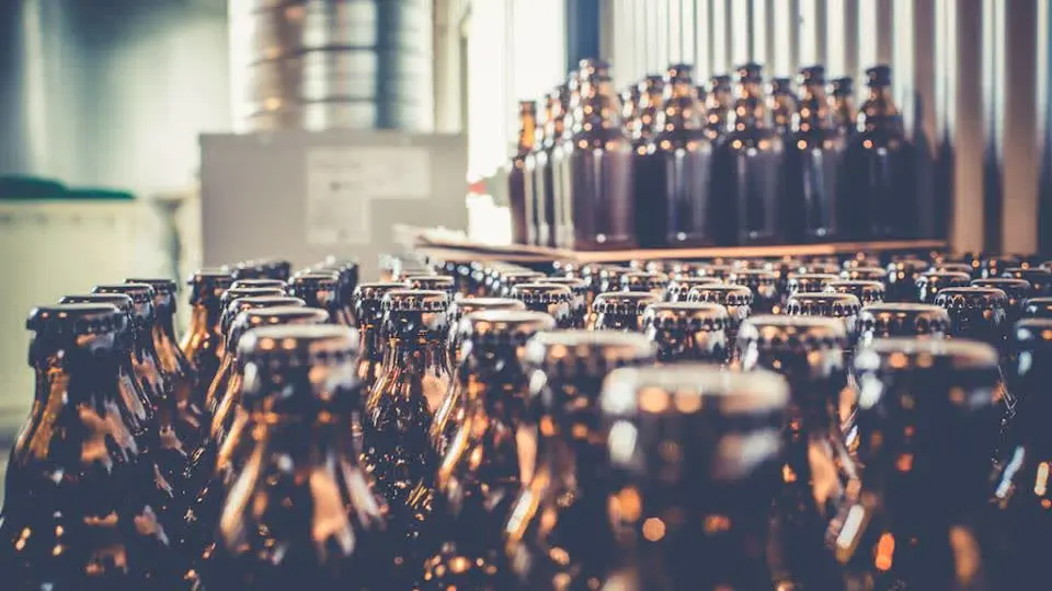 Rangées de bouteilles vides prêtes pour l’embouteillage.