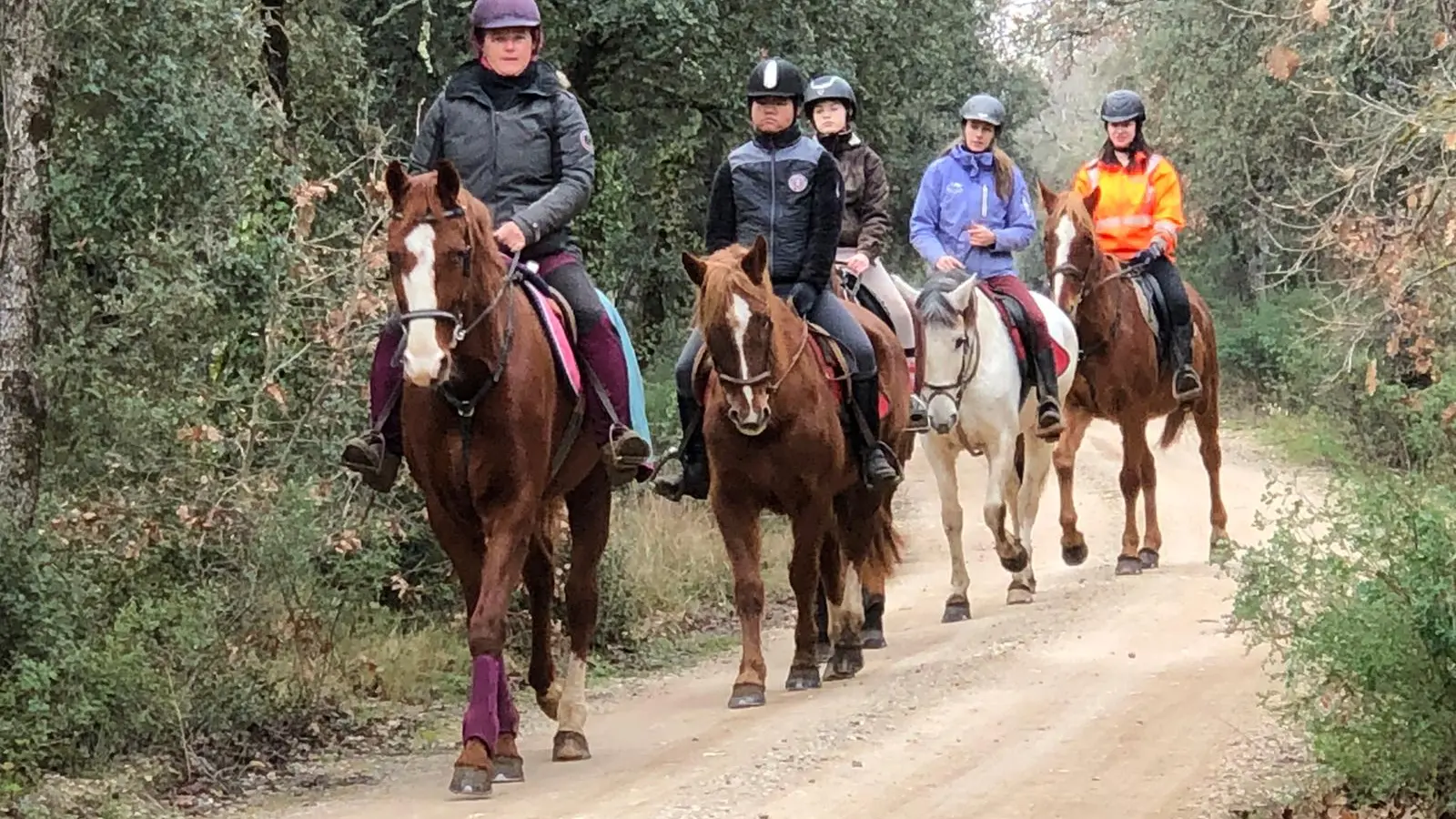 Les Cavaliers du Ventoux