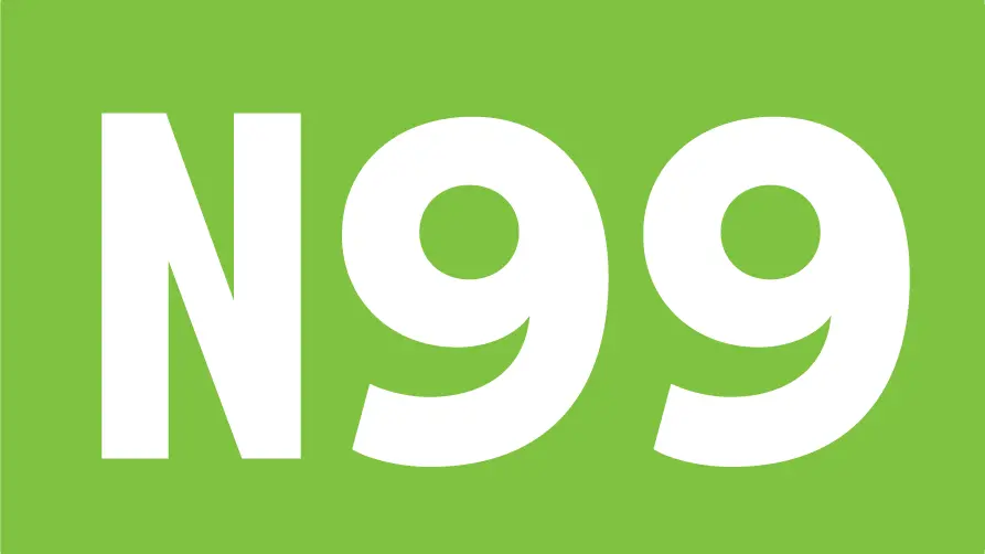 Logo N 99