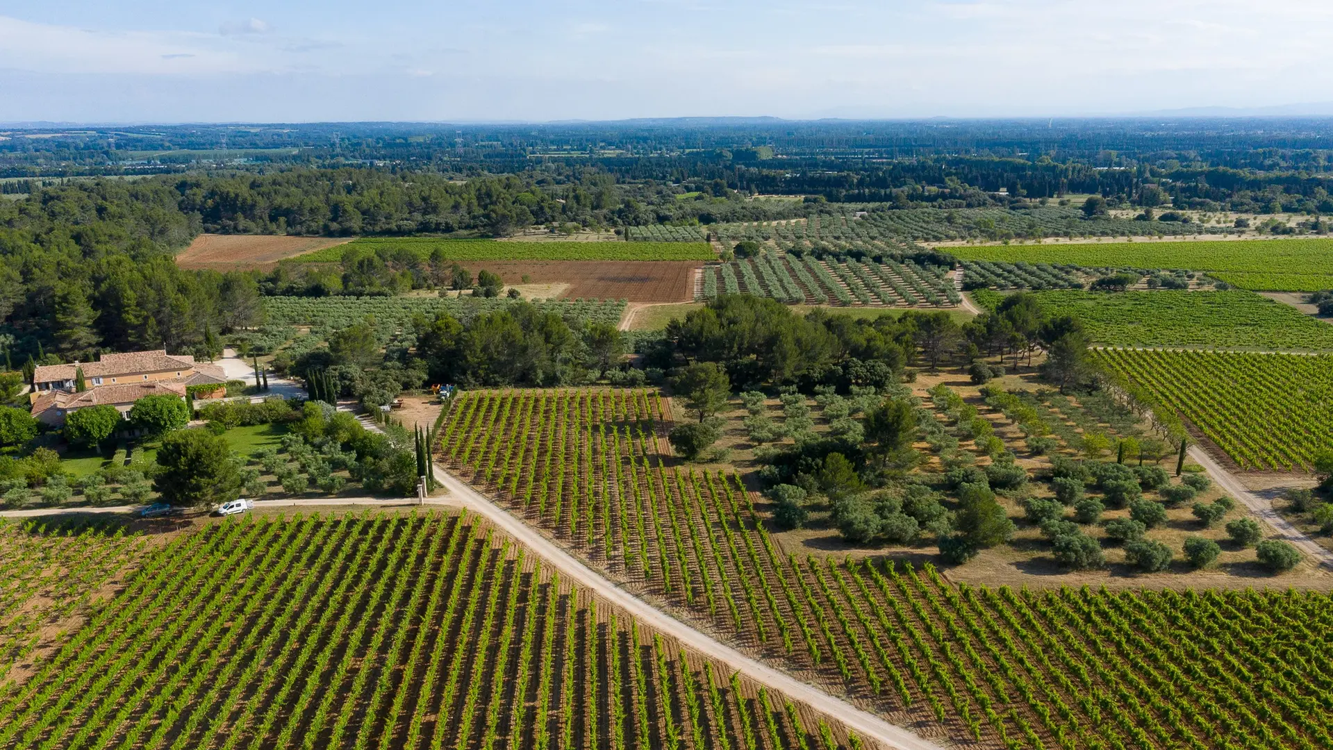 Domaine d'Eole, vignoble à Eygalières