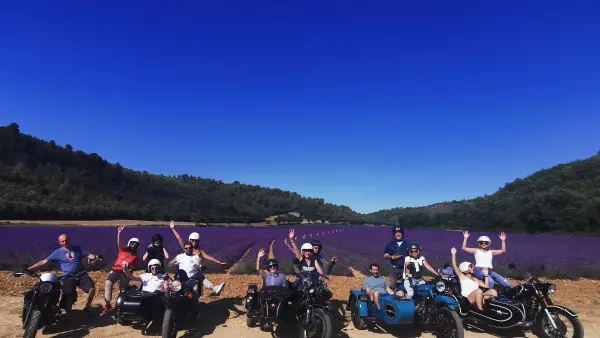 Circuit des lavandes et vignobles en sidecar : 2h,4h ou 6h (juin à septembre)