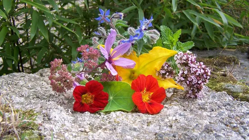 rutardises florales