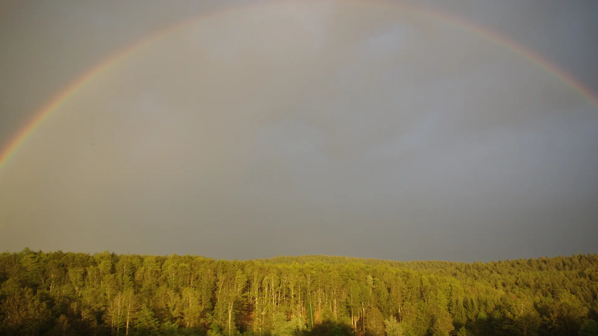 La Ferme des Taillis
