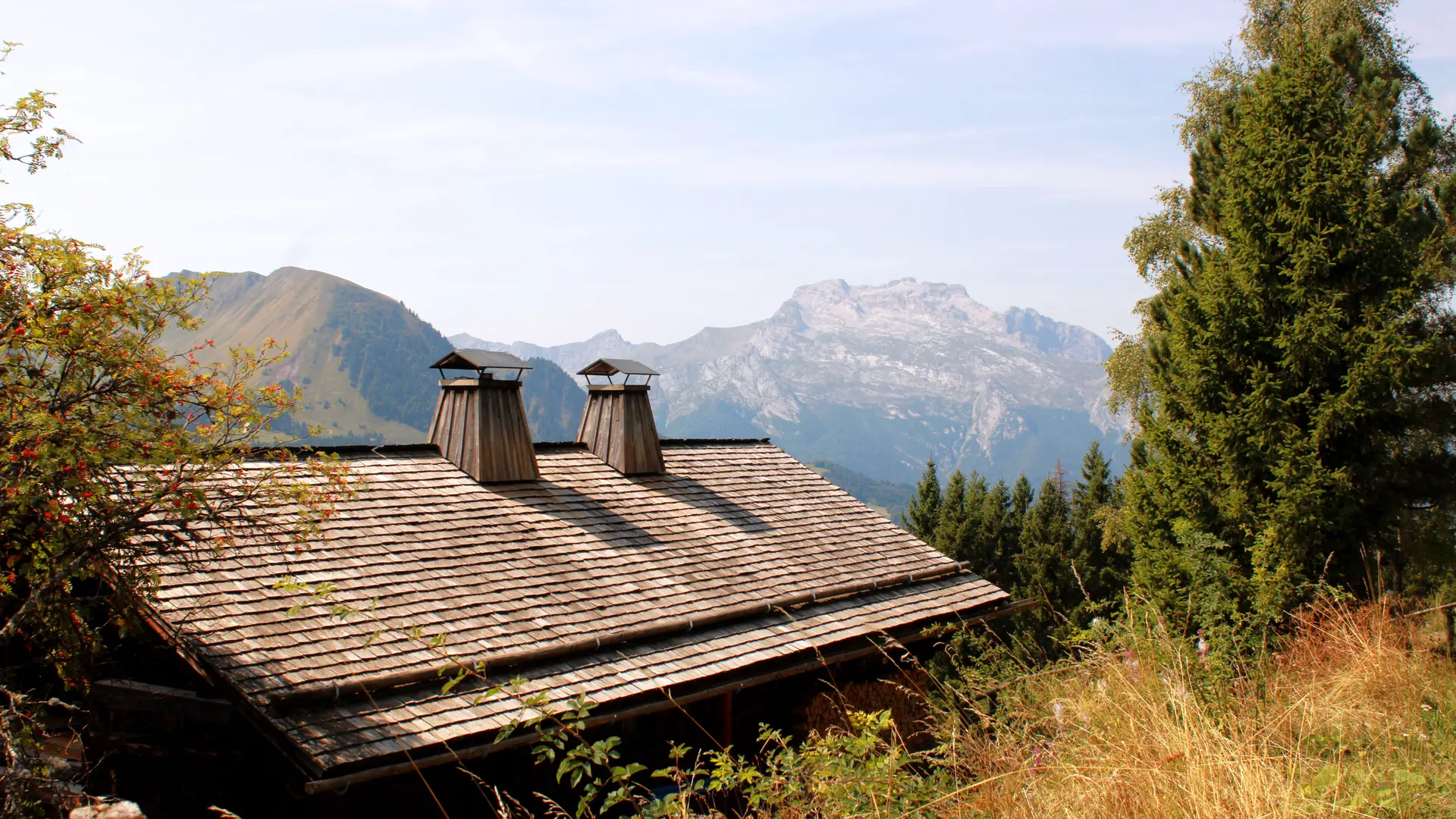 Chalet face à la Tournette