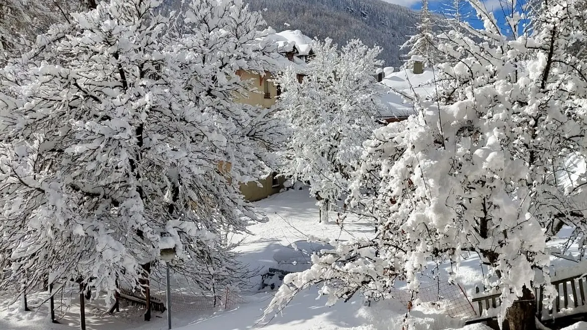 HIVER