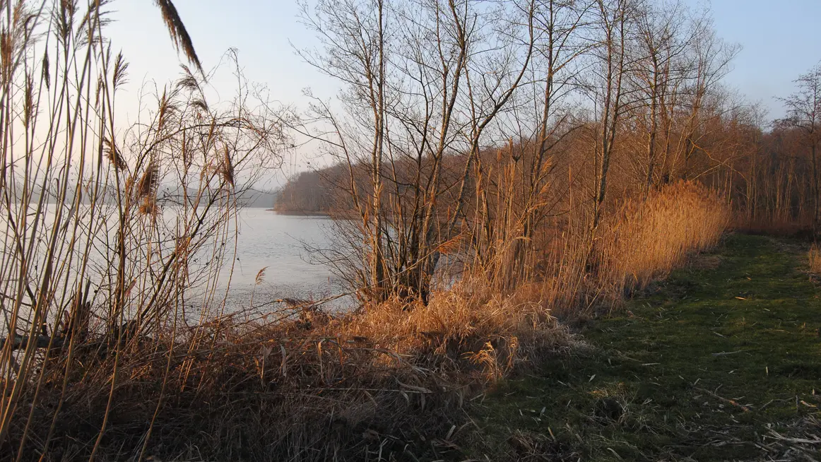 Le Grand Marais à l'automne