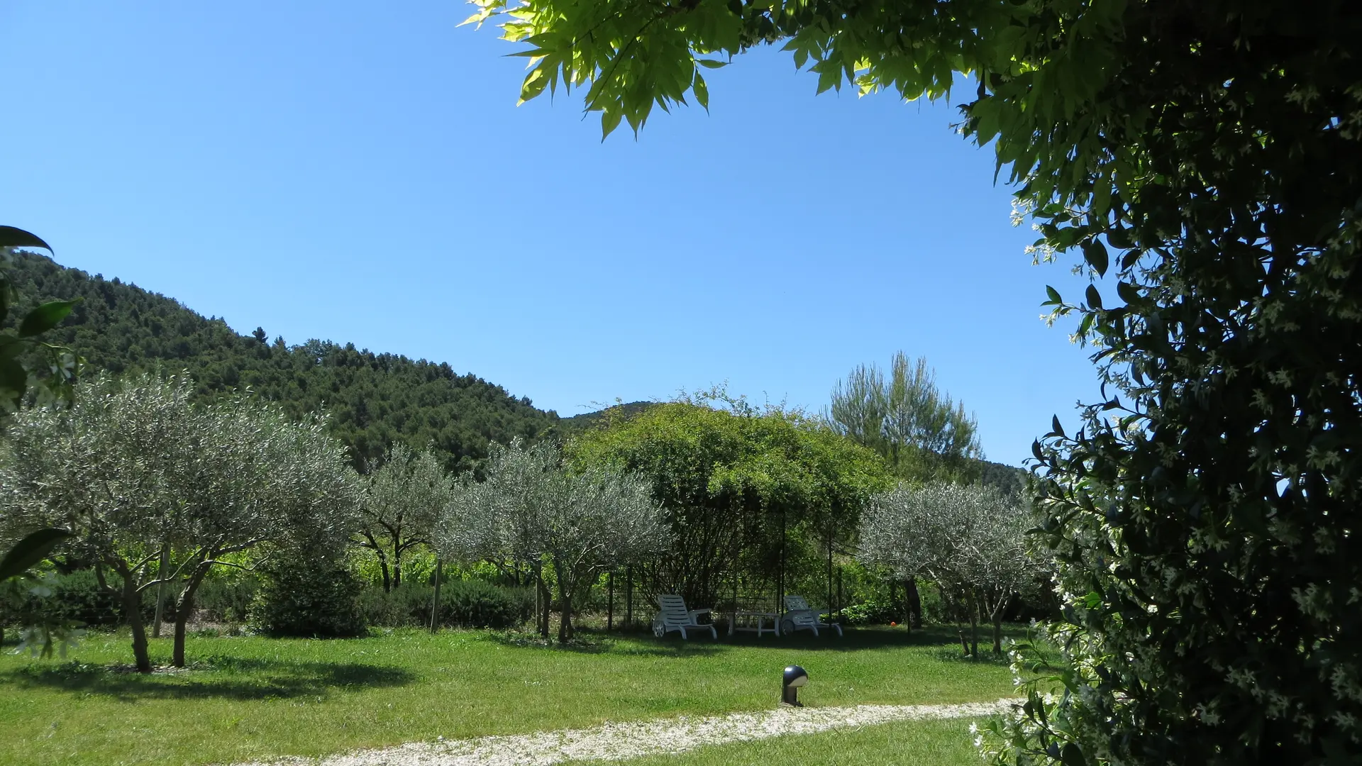 Jardin arboré de 4000m2