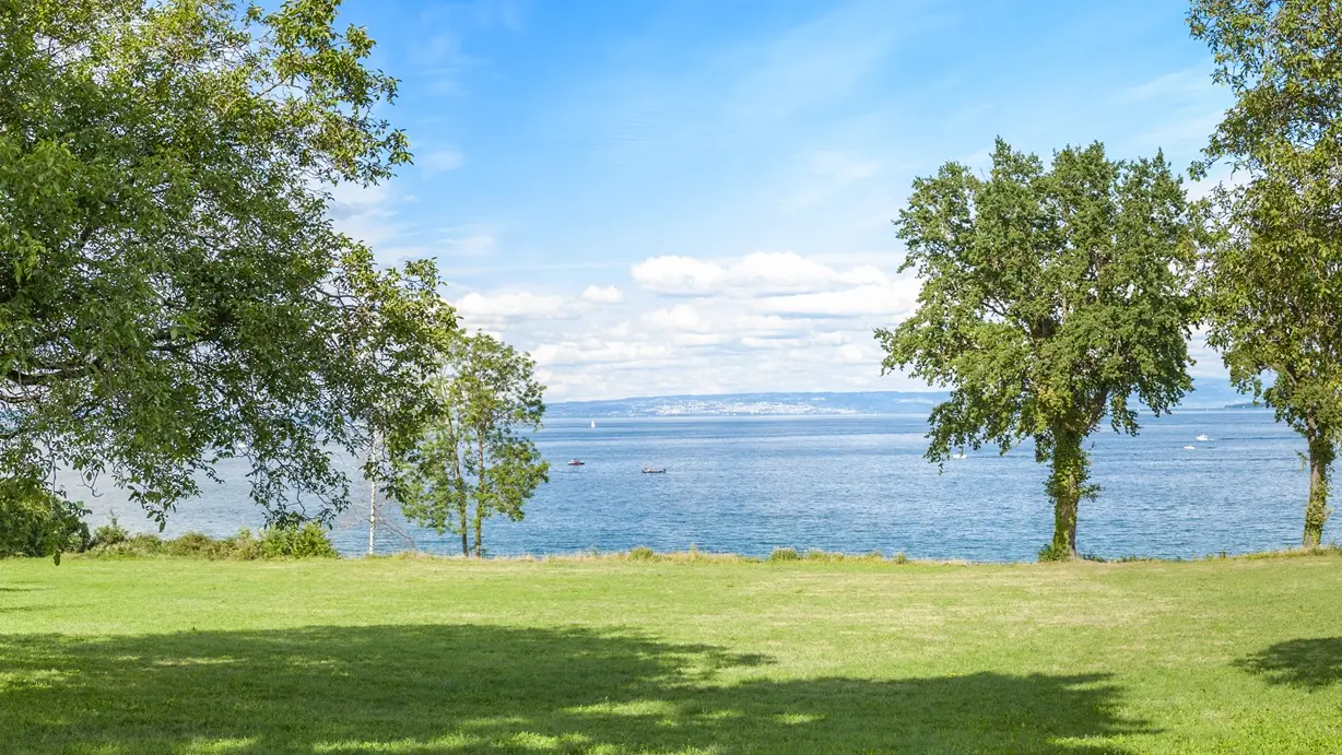 Vue depuis le parc du Pré Cottin