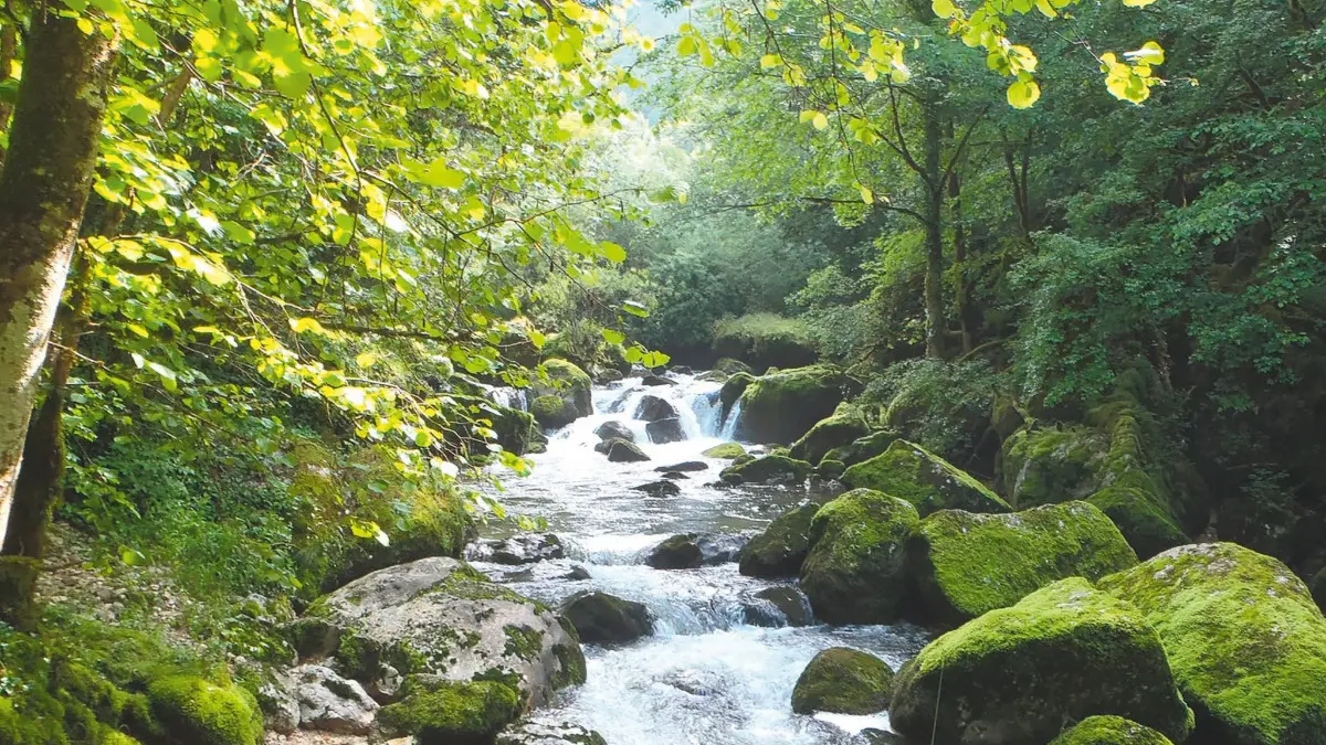 Abbaye de Saint Rambert en Bugey - Le Bugey et ses trésors naturels