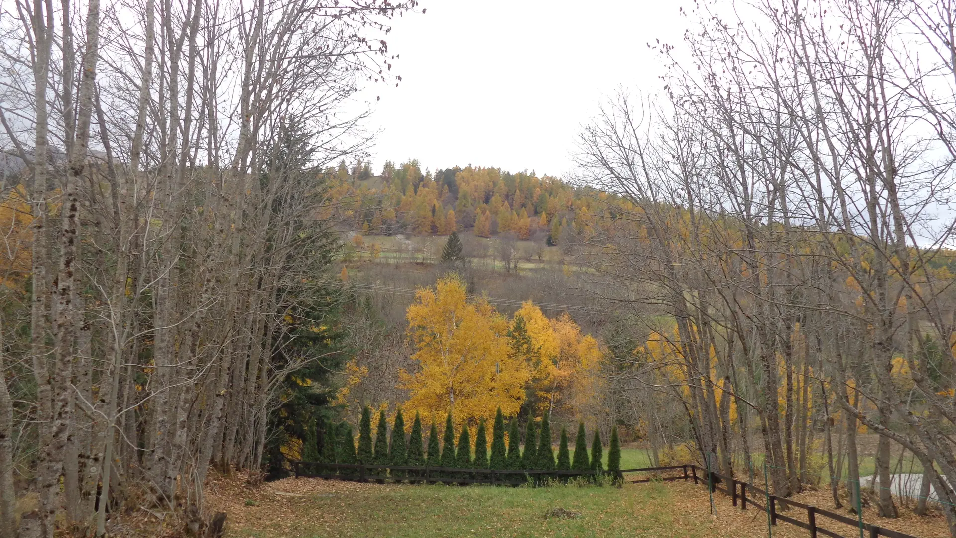 Gïte Le Forest Le Dévoluy