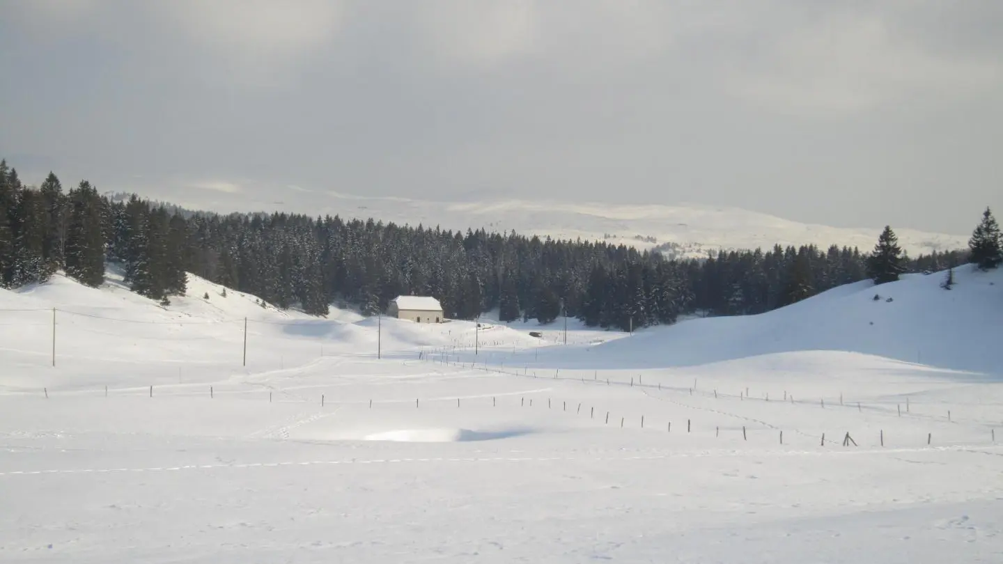 montagnes du Jura depuis le plateau de Bellecombe