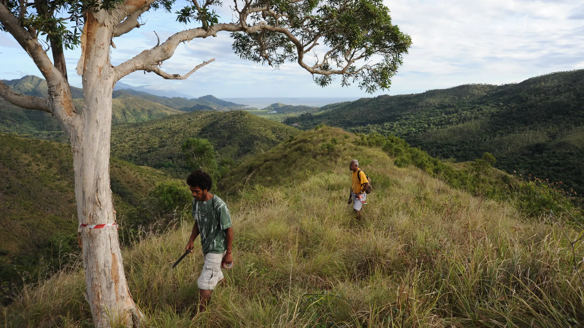 Sur les crêtes de Ouanache