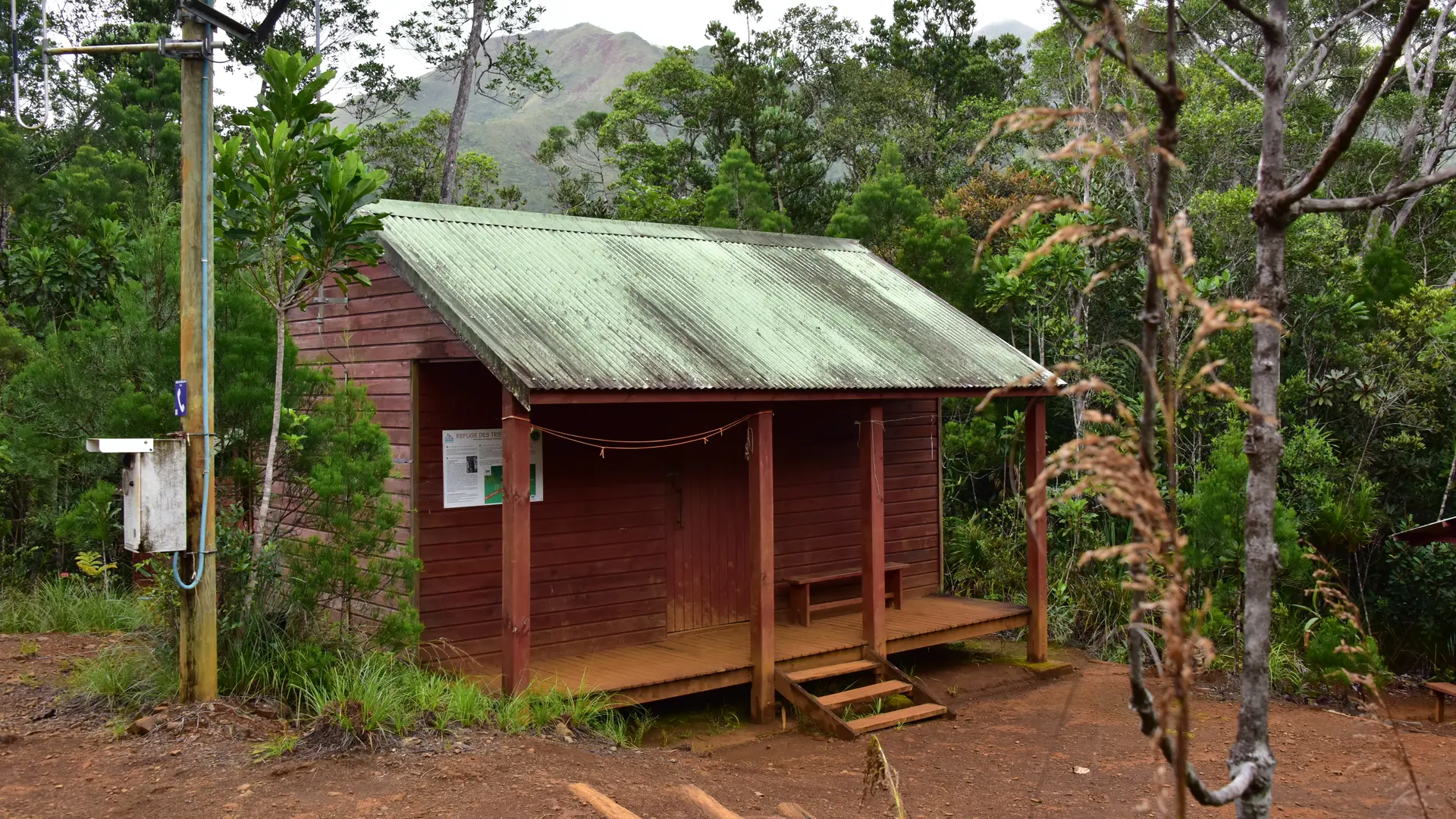 Refuge des Tristaniopsis