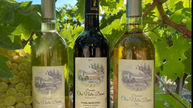 Domaine Viticole Le Clos Notre Dame