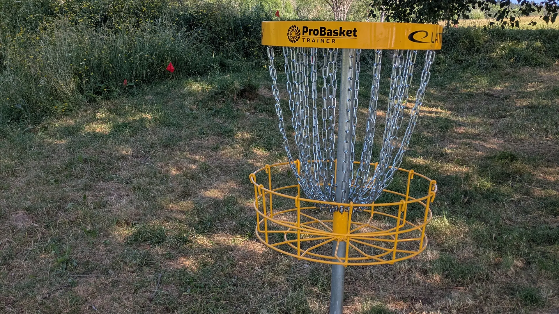 Panier de disc golf