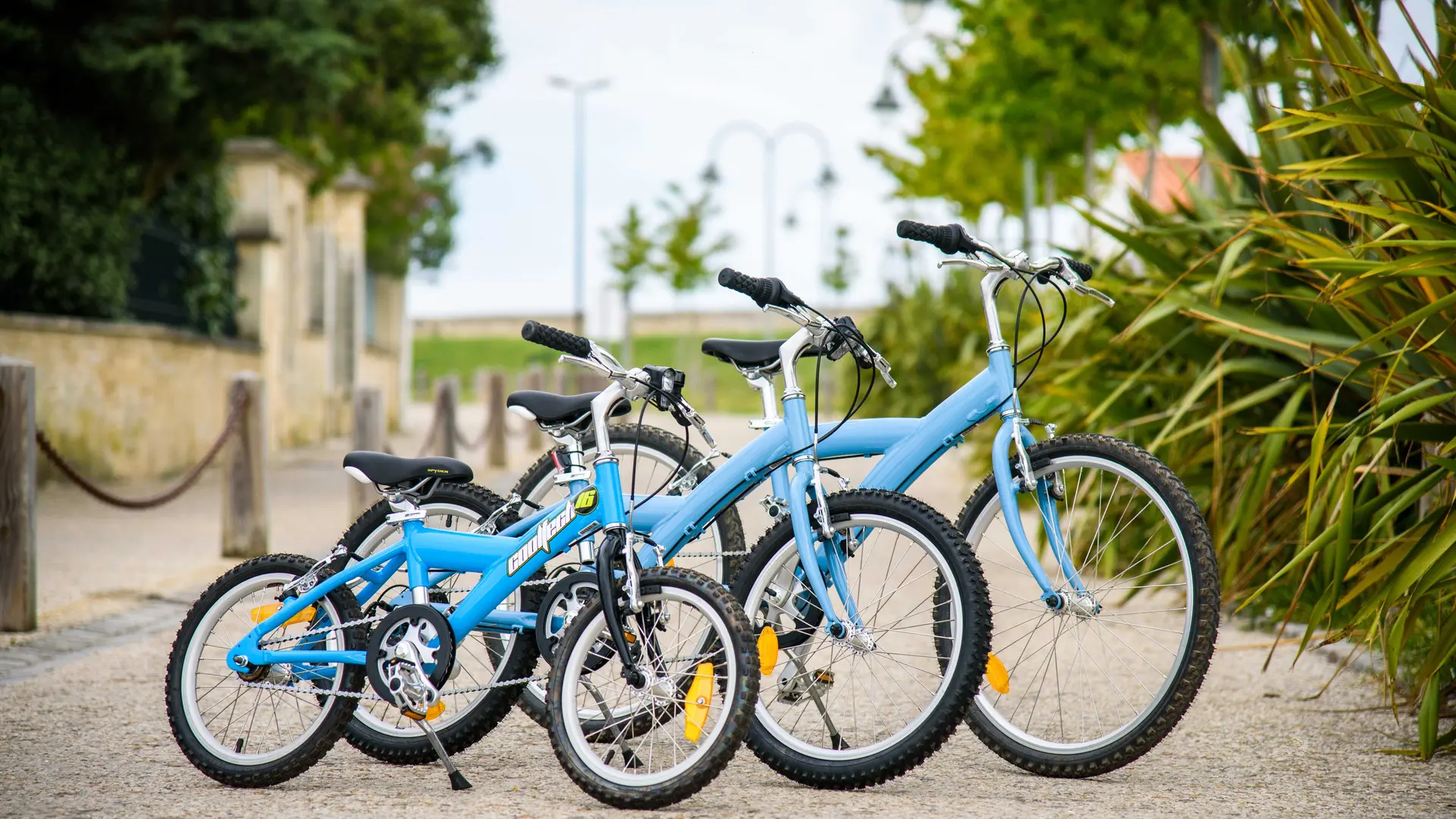 Beach Bikes