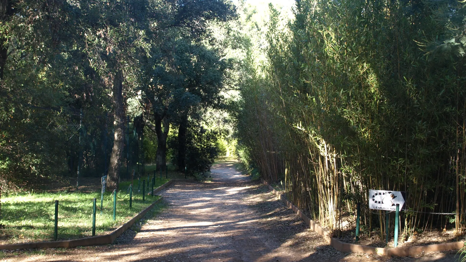 Allée des lémuriens au Jardin Zoologique Tropical à La Londe les Maures