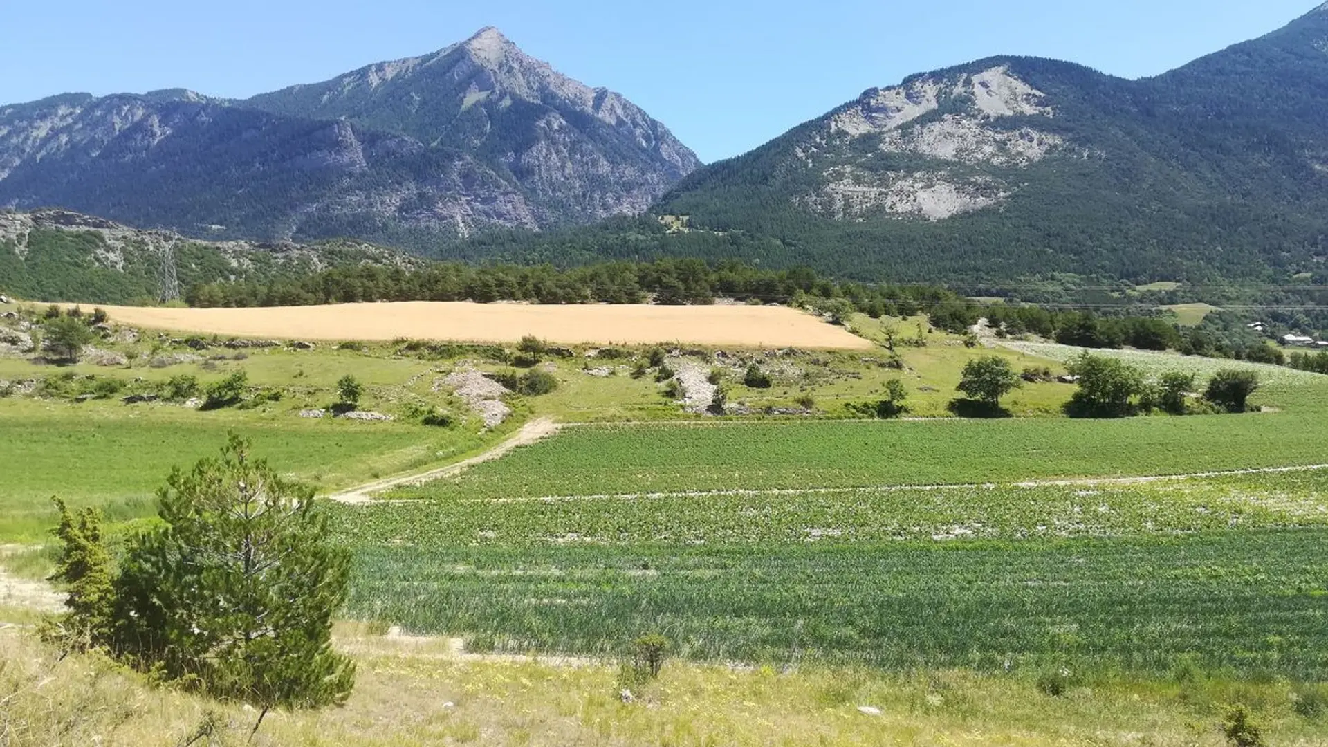 Chemin de la Durance à travers les champs