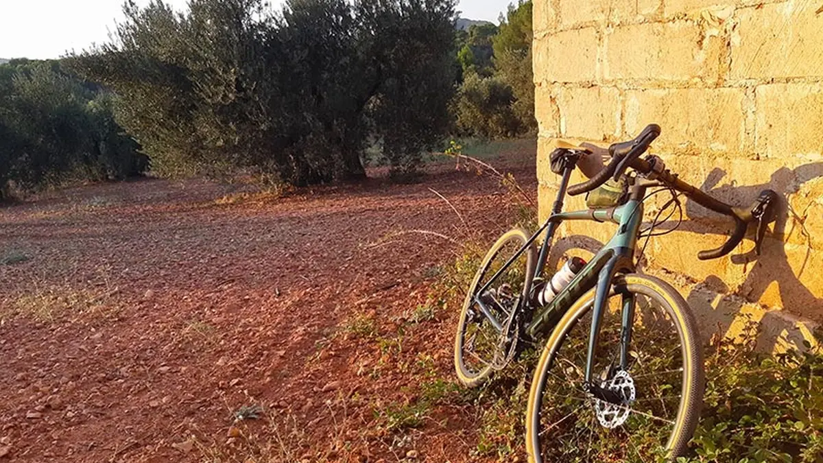 Panorama des Alpilles, Location de vélos à Aureille