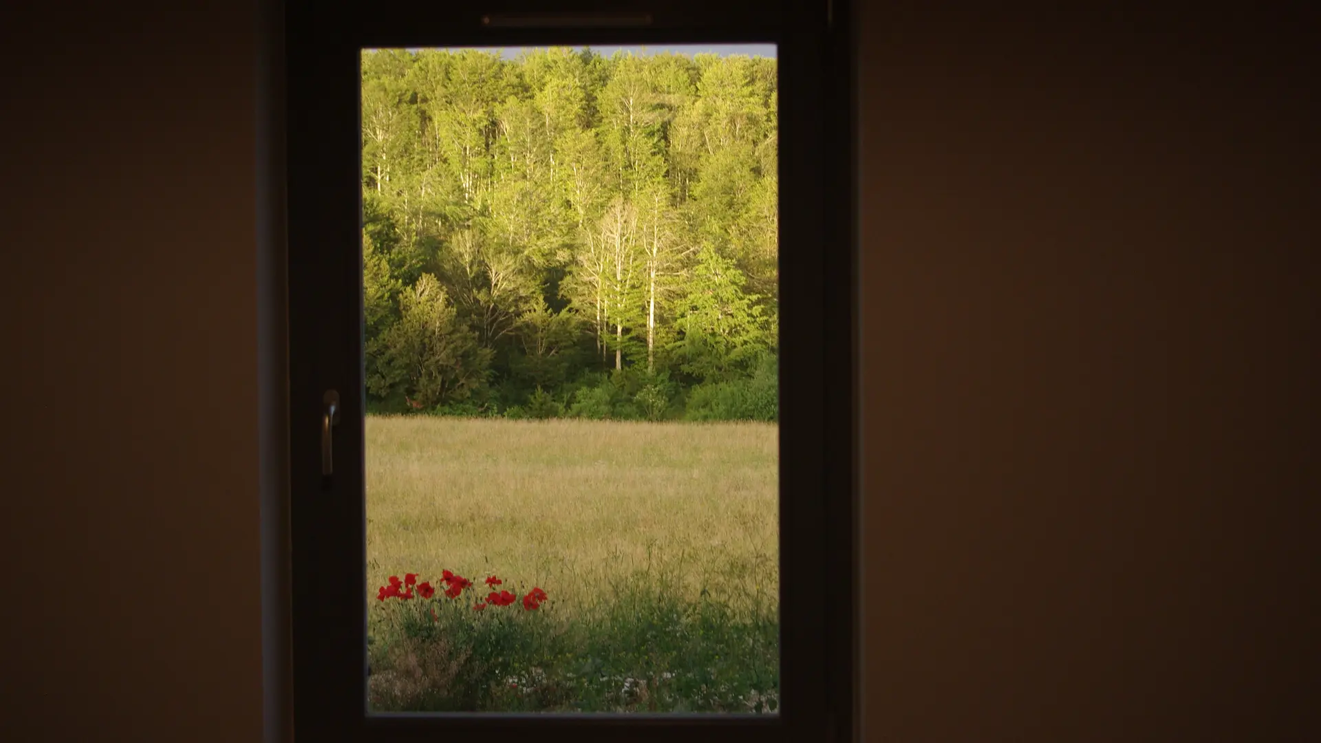 La Ferme des Taillis